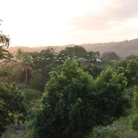 Sumba Nautil Resort Deke Экстерьер фото